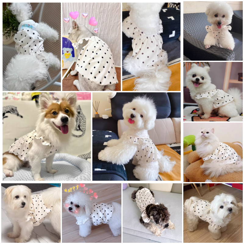 Cute Pet Dog Dress Dot Dog Sum - Summer Clothing In French ulasan dan harga