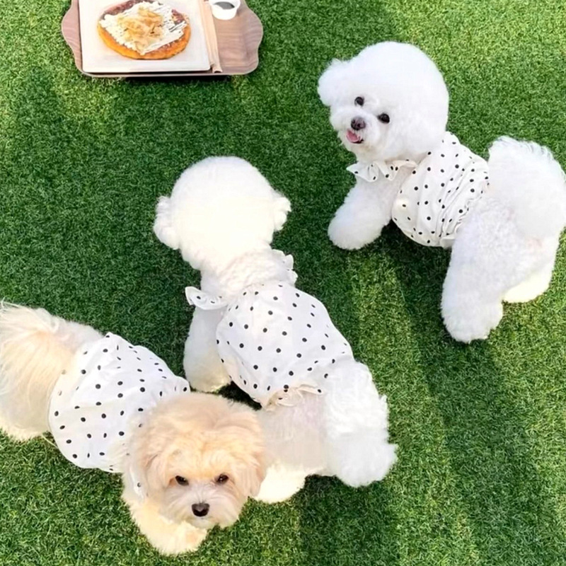 Cute Pet Dog Dress Dot Dog Sum - Summer Clothing In French ulasan dan harga