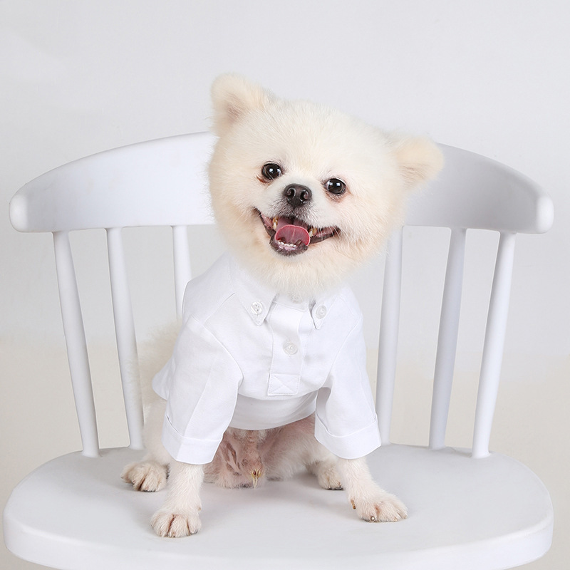 Spring and Autumn Pet Bottomin - Summer Dog Clothing ulasan dan harga