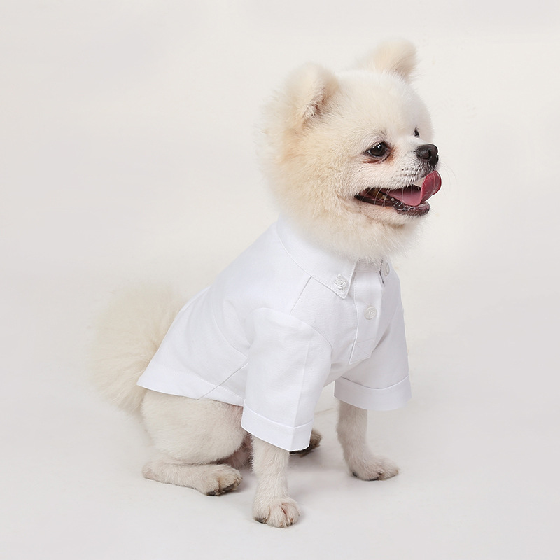 Spring and Autumn Pet Bottomin - Summer Dog Clothing ulasan dan harga