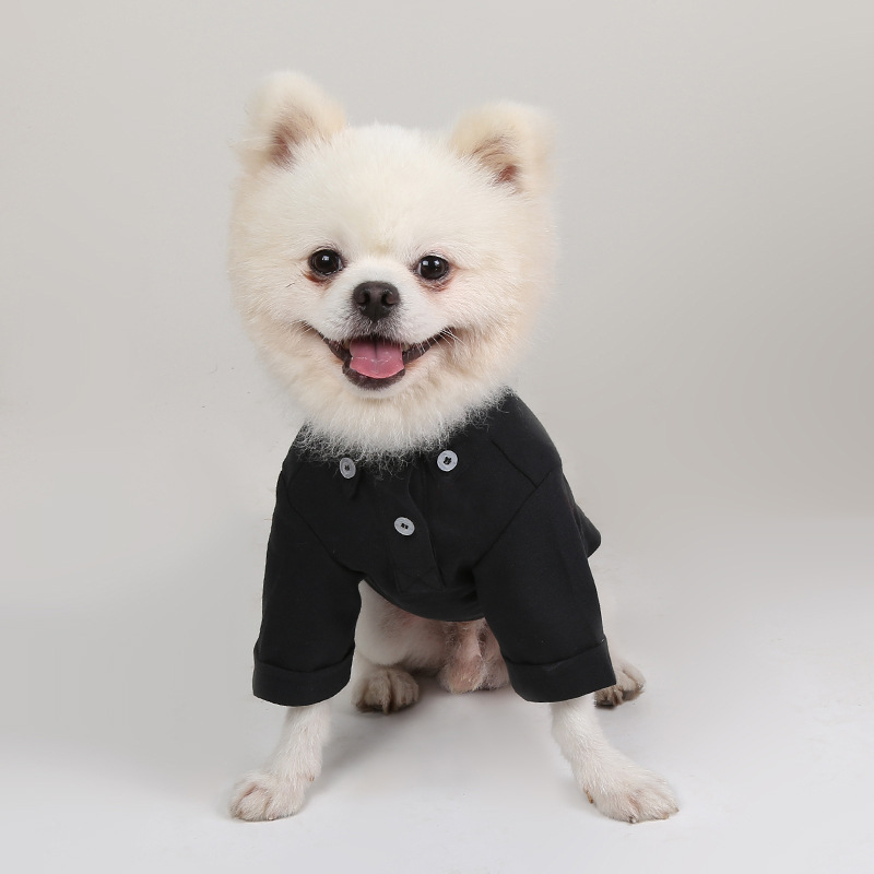 Spring and Autumn Pet Bottomin - Summer Dog Clothing ulasan dan harga