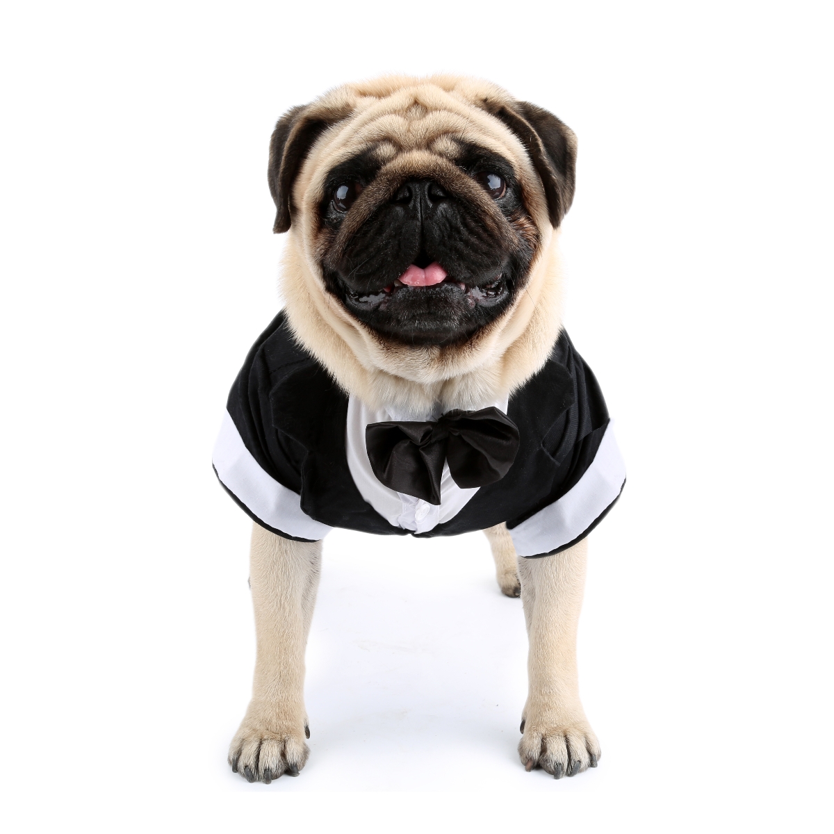 Dog Shirt Puppy Clothes, Pet W - Summer Dog Clothing ulasan dan harga