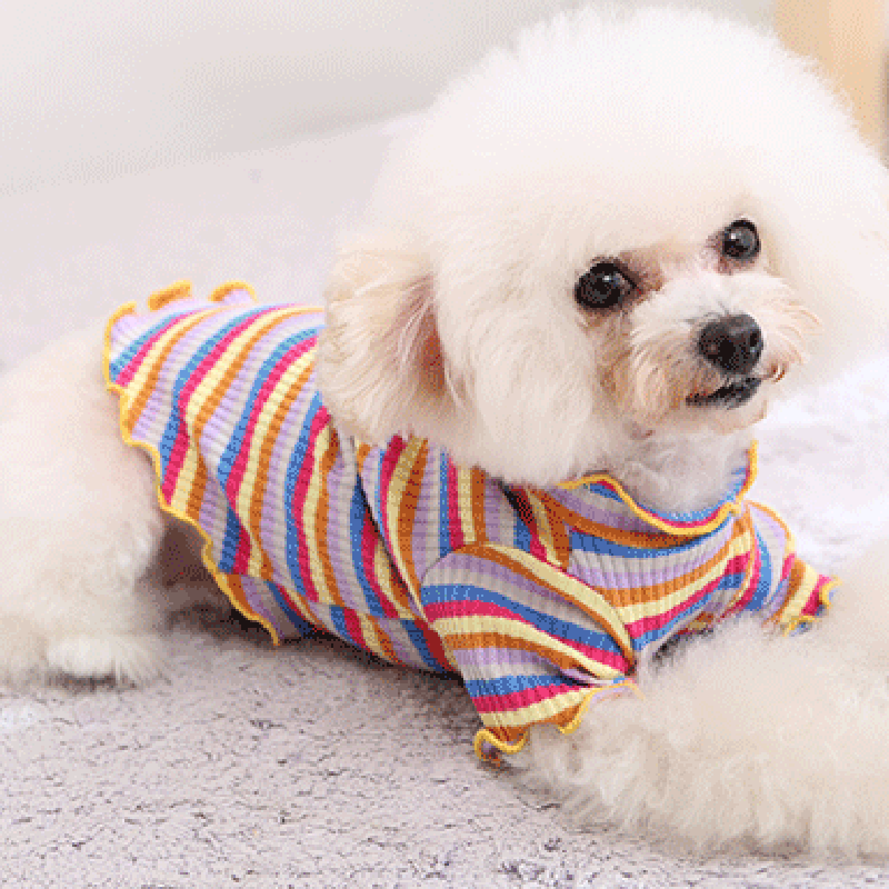 Pet Dog Clothes Puppy Vest T-s - Summer Dog Clothing ulasan dan harga