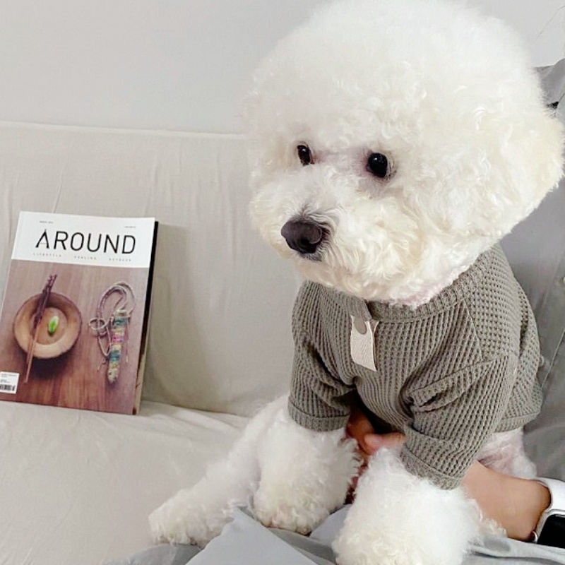 Summer Pet Shirt Solid Dog T-S - Summer Dog Clothing ulasan dan harga