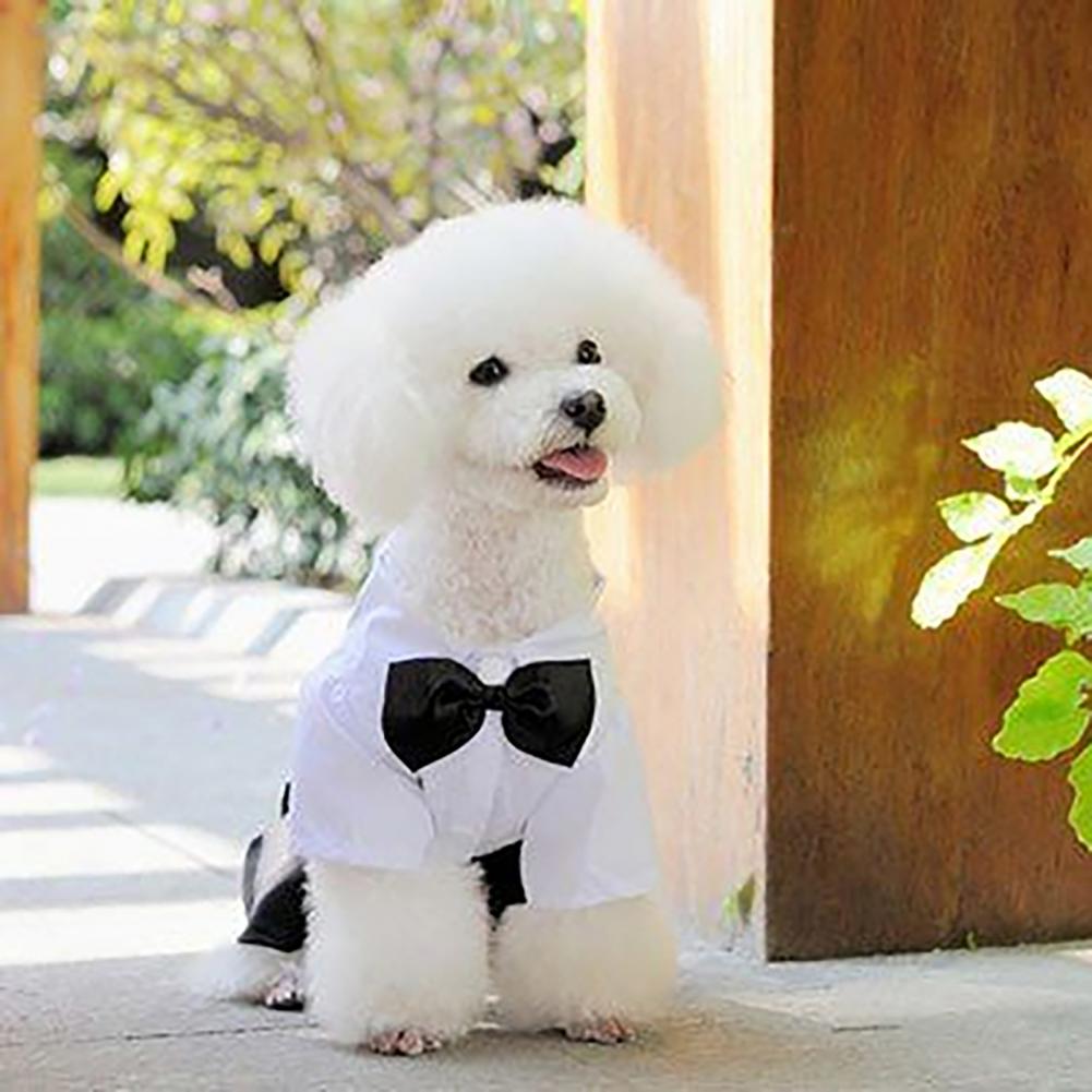 Dog Bow Tie Suit Tuxedo Costum - Summer Dog Clothing ulasan dan harga