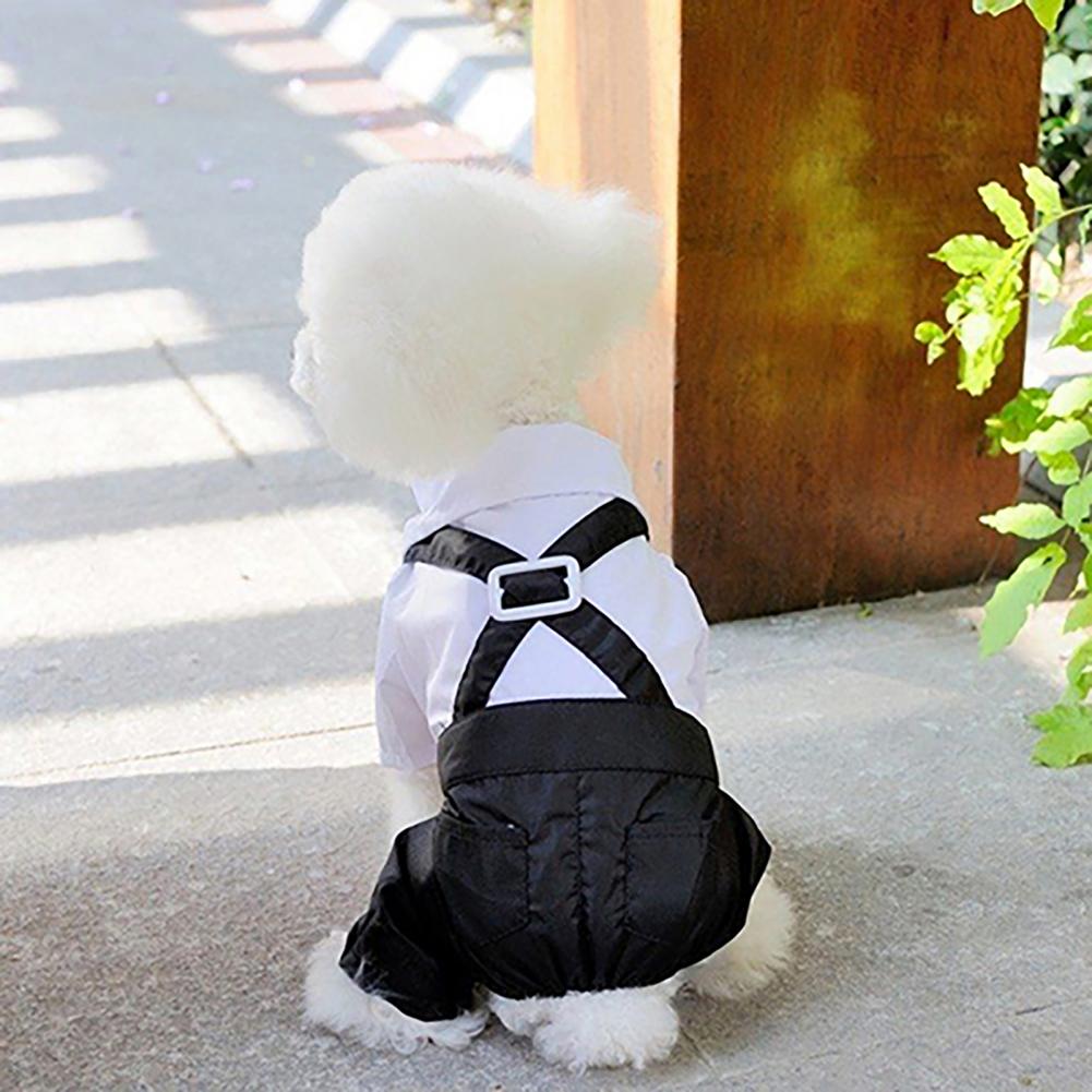 Dog Bow Tie Suit Tuxedo Costum - Summer Dog Clothing ulasan dan harga