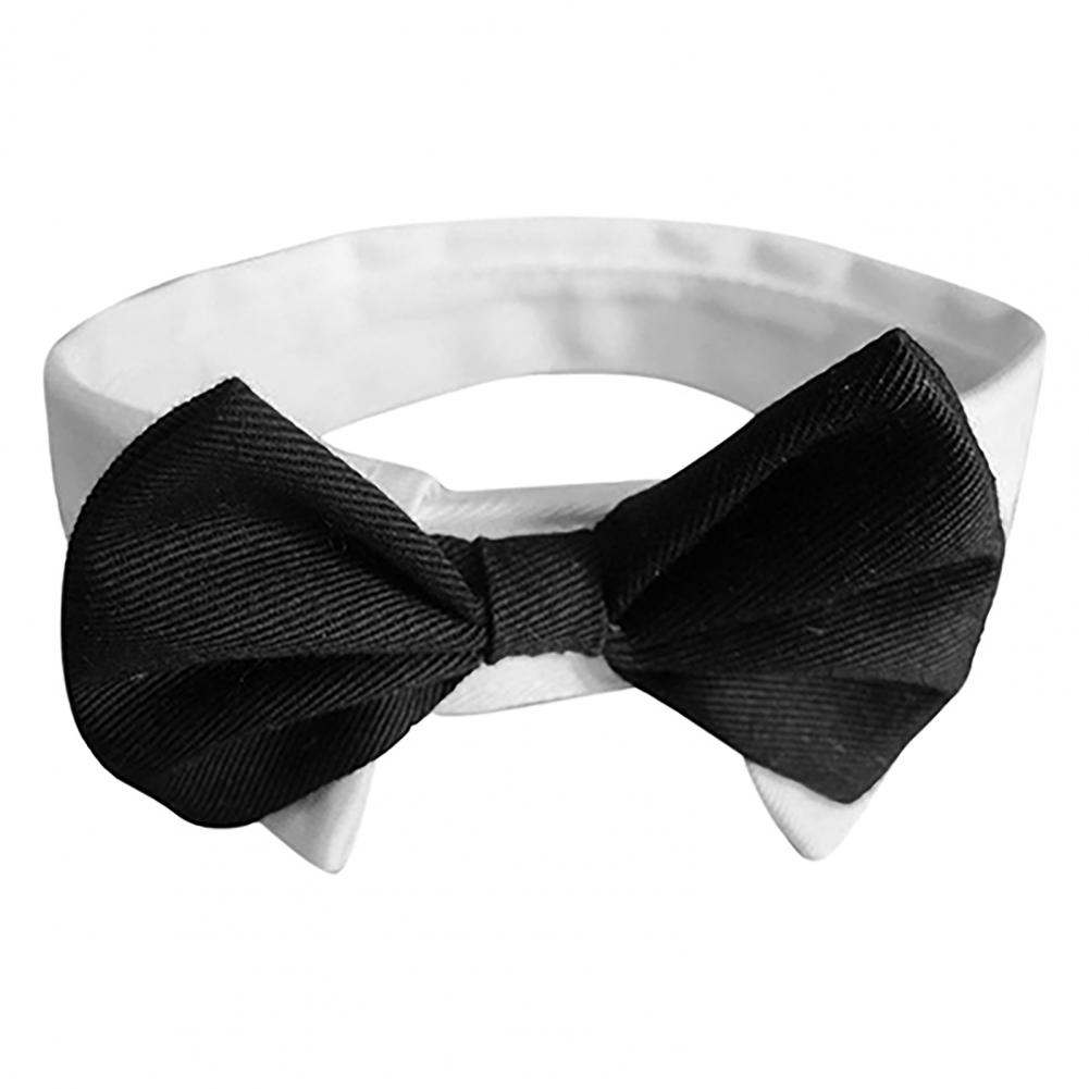 Dog Bow Tie Suit Tuxedo Costum - Summer Dog Clothing ulasan dan harga