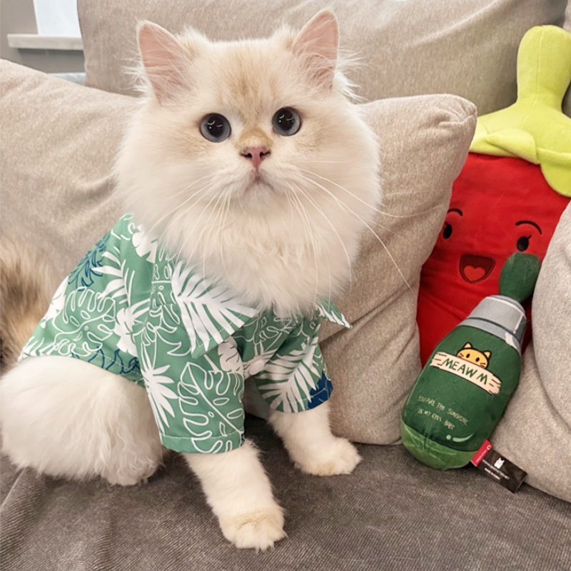 Summer Hawaiian Beach Style Do - Summer Dog Clothing ulasan dan harga