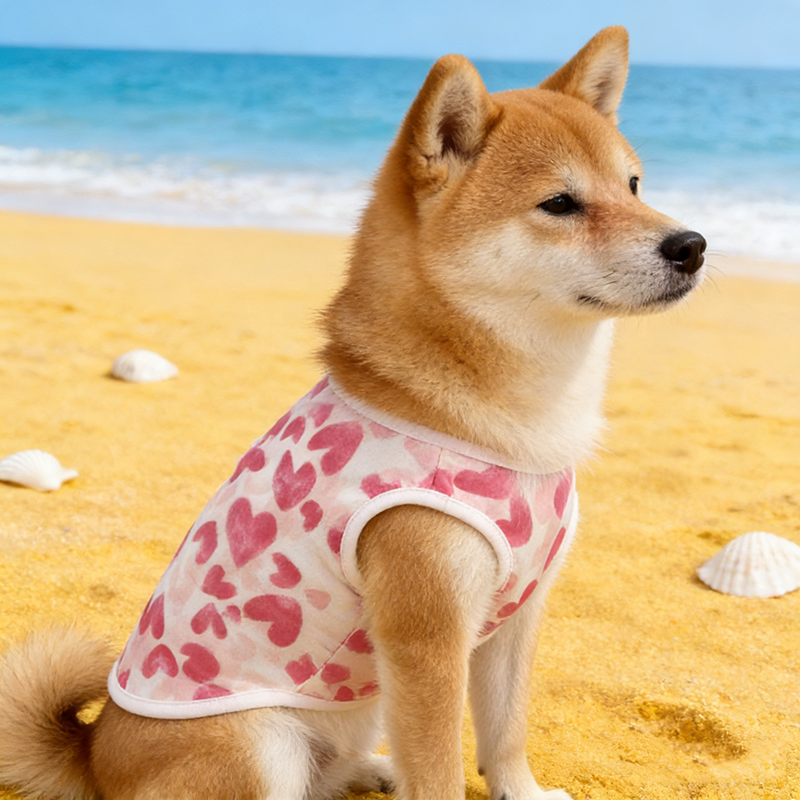 Dog Clothes Summer Thin Dog Ve - Summer Clothing In French ulasan dan harga